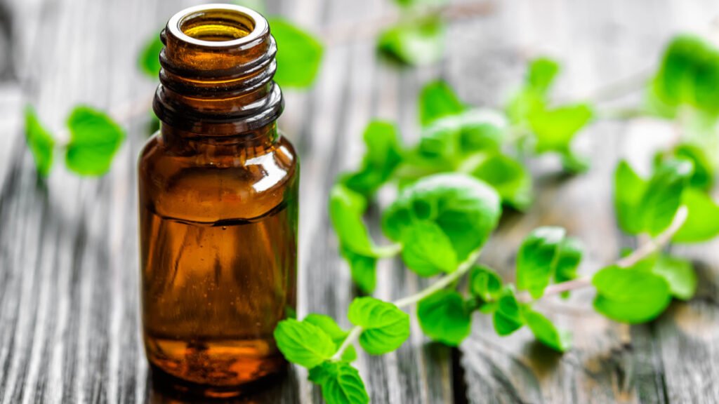 Kombinasi Daun Sirih Dengan Minyak Esensial Seperti Lavender Atau Tea Tree Untuk Aroma Menenangkan