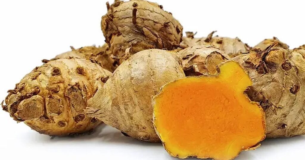 Temulawak Membantu Menurunkan Lemak Hati Dan Kolesterol Yang Mengganggu Fungsi Jantung