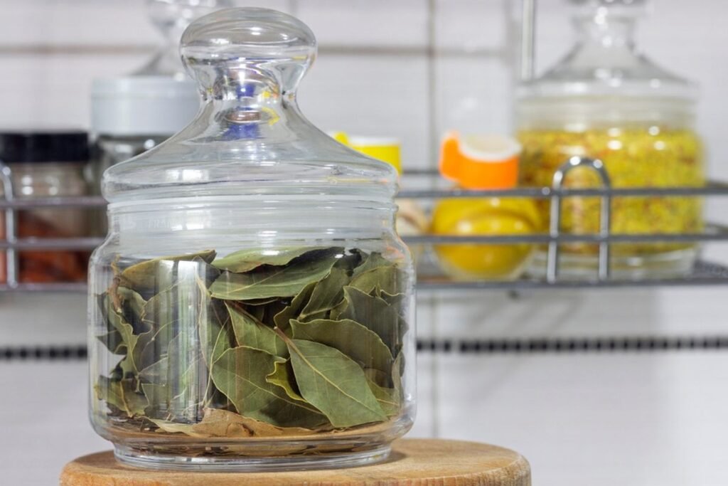 Bagaimana Cara Menyimpan Tanaman Herbal Agar Tetap Awet?