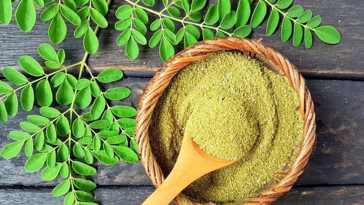 Seduhan: Cara Praktis Mengolah Tanaman Herbal untuk Kesehatan Sehari-hari