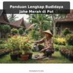 Panduan Lengkap Budidaya Jahe Merah di Pot
