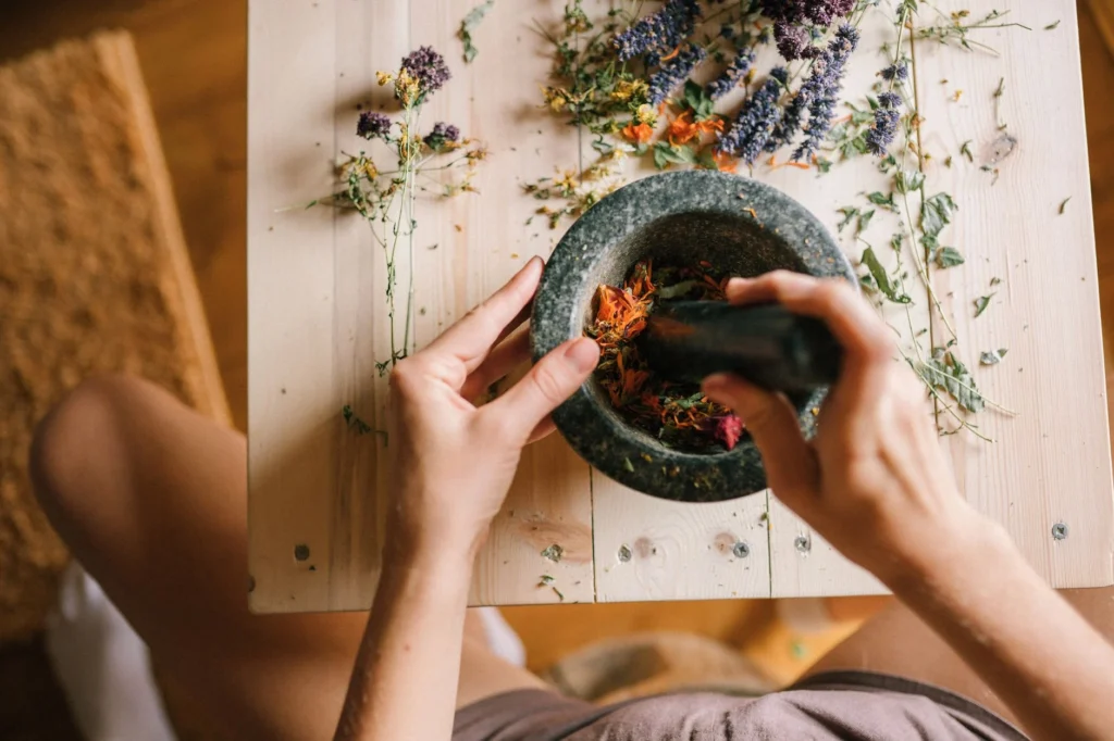 Tanaman herbal alami untuk kesehatan tubuh