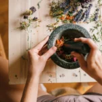 Tanaman herbal alami untuk kesehatan tubuh