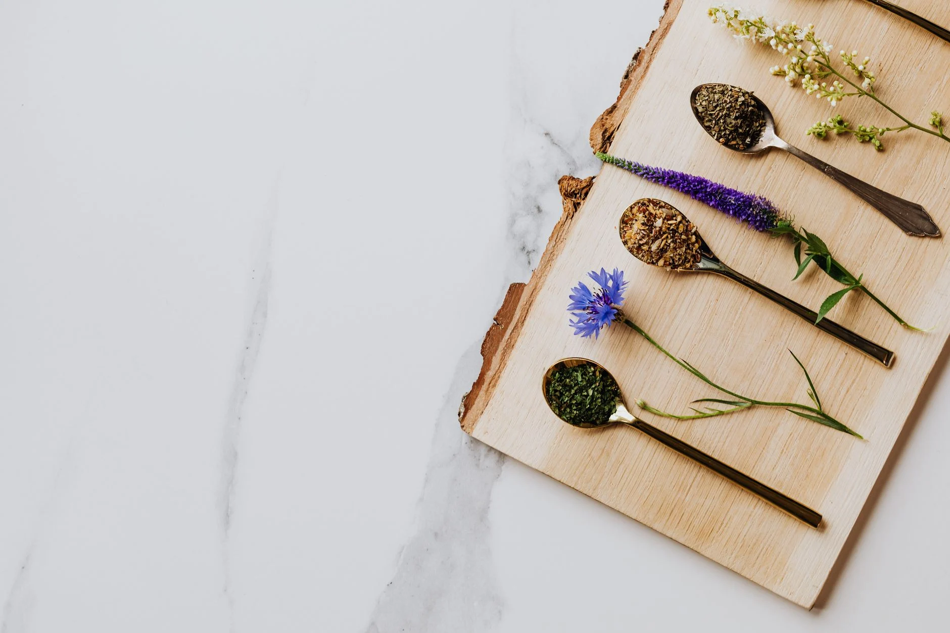 herbal untuk pencernaan